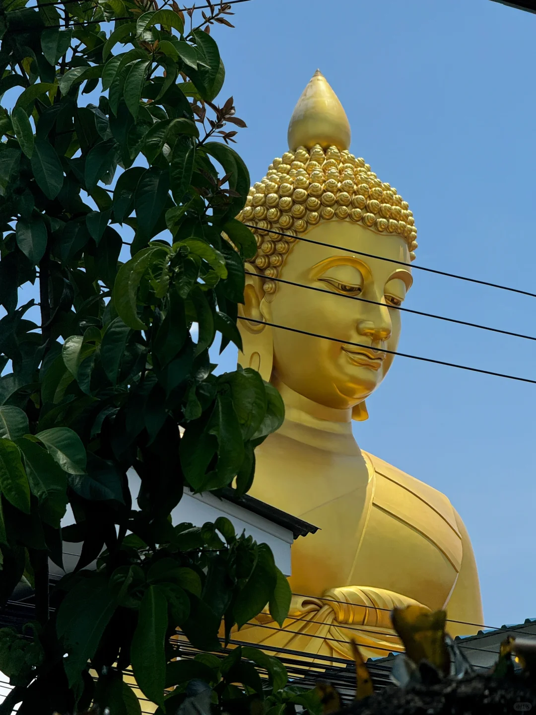 Bangkok-The Buddha statue at Watergate Temple and the photo taking angle at the Waterworks Cafe are very nice