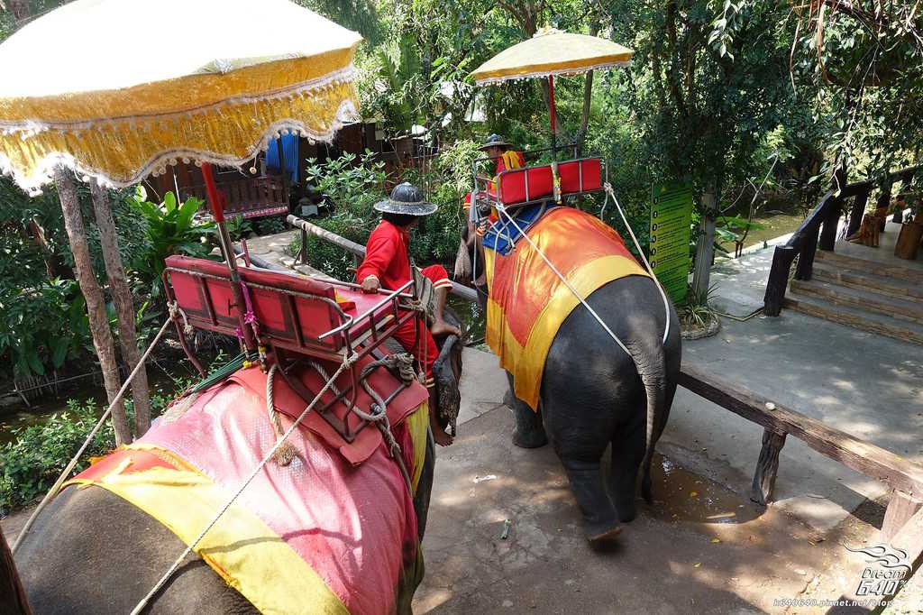 Bangkok-Damnoen Saduak Floating Market and Maeklong Railway Market Walking Tour