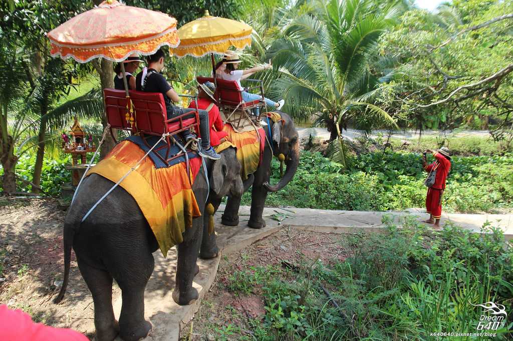 Bangkok-Damnoen Saduak Floating Market and Maeklong Railway Market Walking Tour