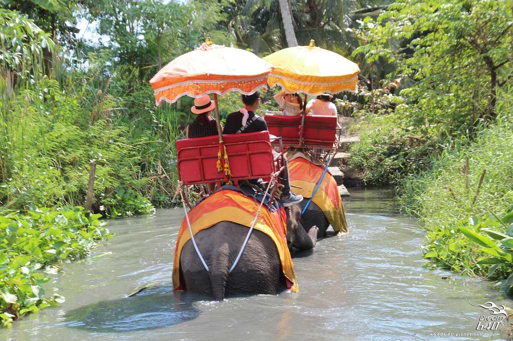 Bangkok-Damnoen Saduak Floating Market and Maeklong Railway Market Walking Tour