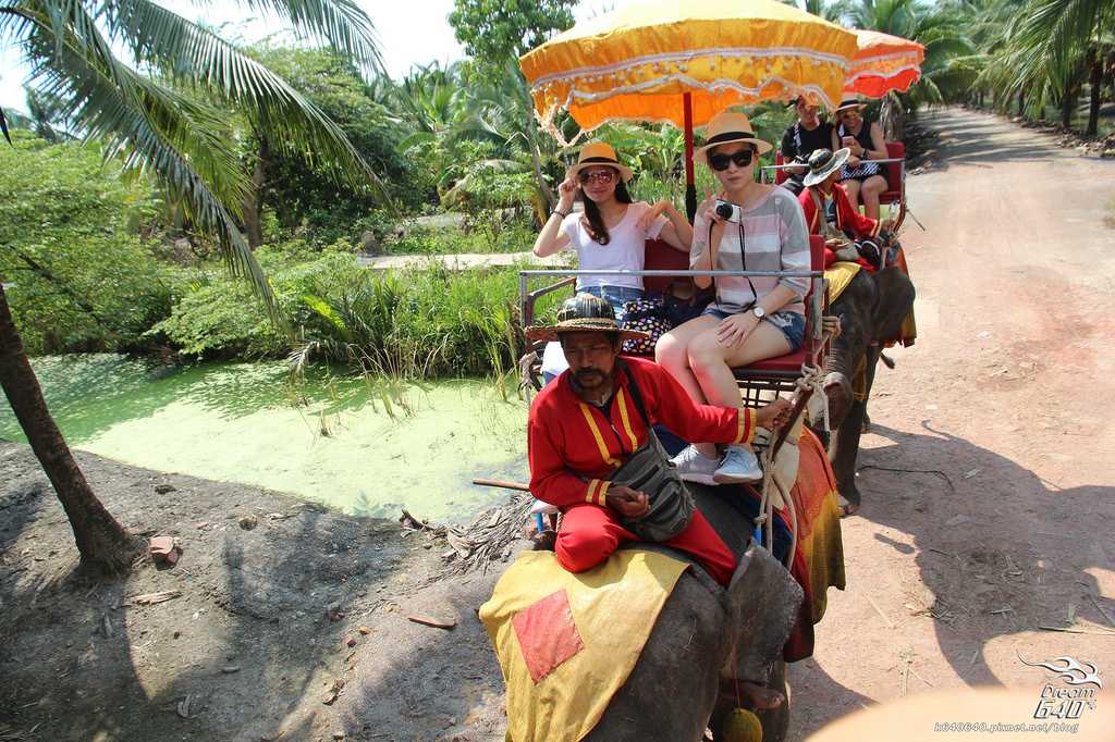 Bangkok-Damnoen Saduak Floating Market and Maeklong Railway Market Walking Tour