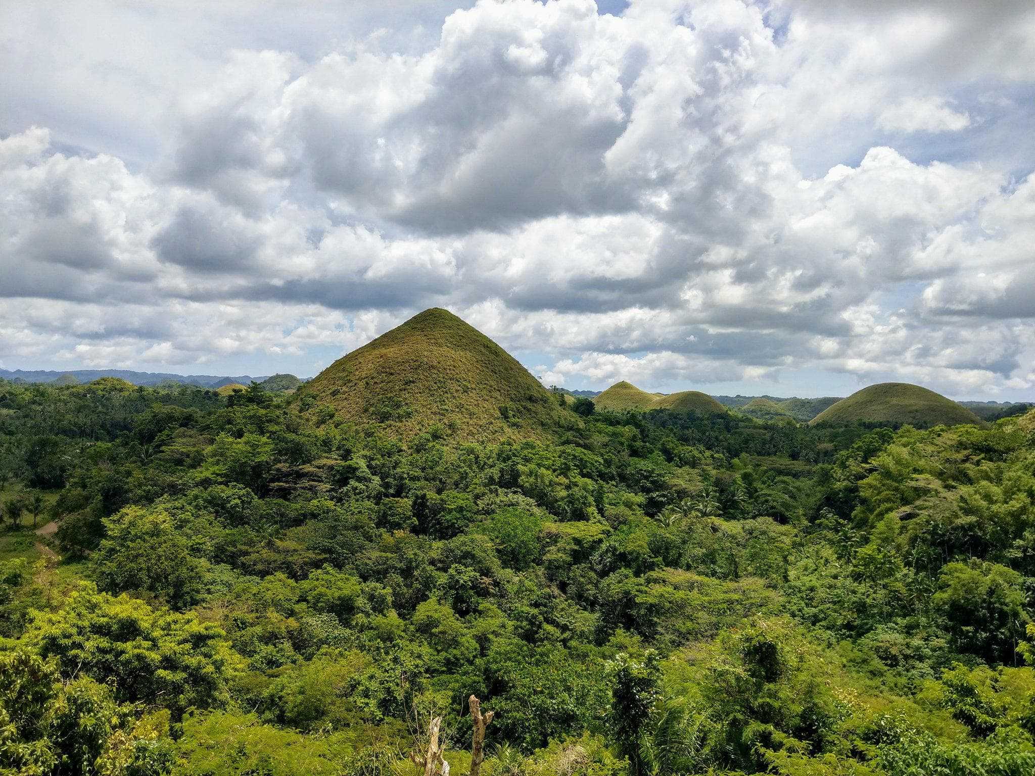 Cebu-Philippines Cebu Bohol Island Free Travel, Five Days and Four Nights Travel Guide