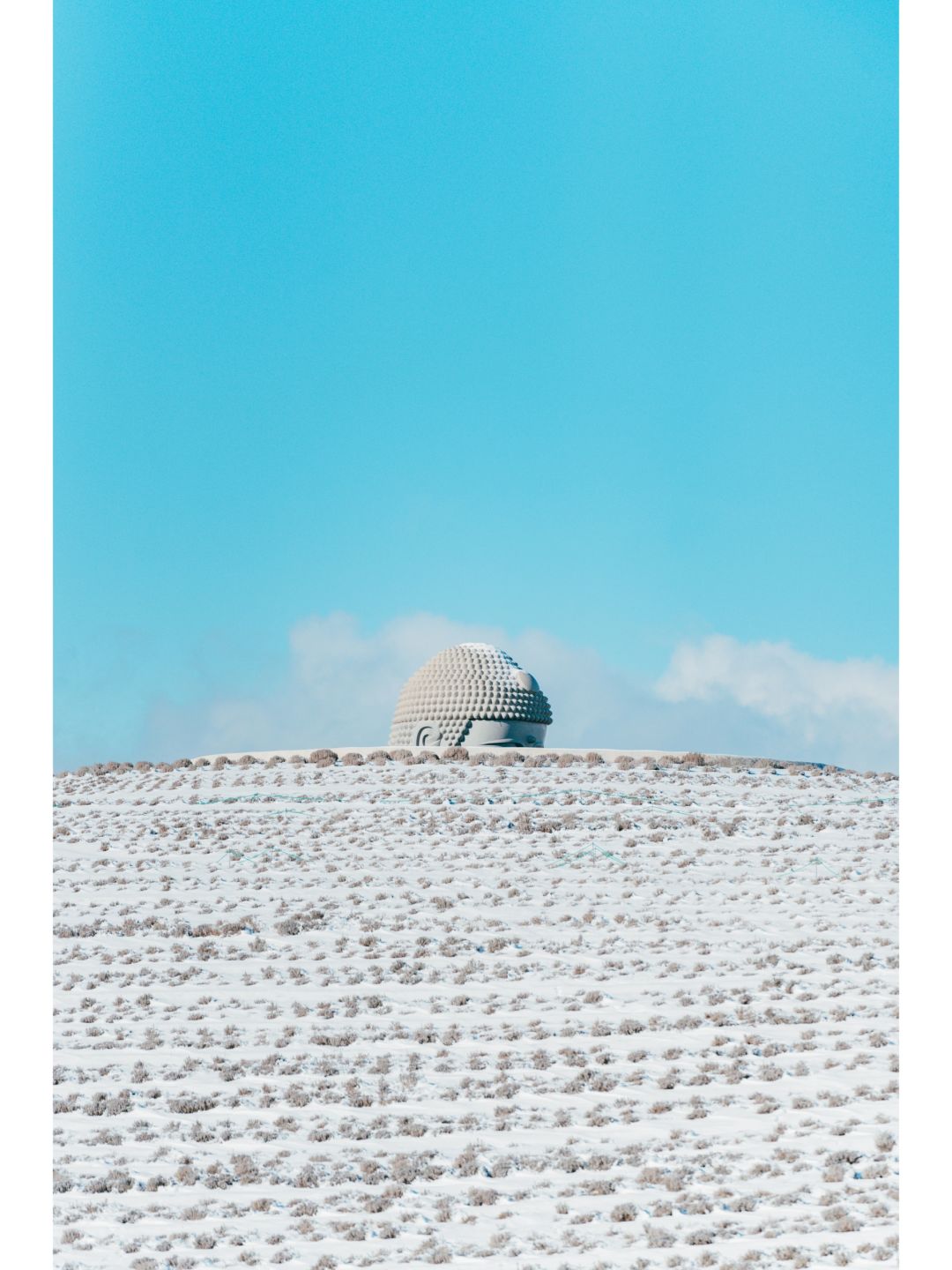 Sapporo/Hokkaido-The Great Buddha of Sapporo(头大仏), whose body is hidden under a man-made hill