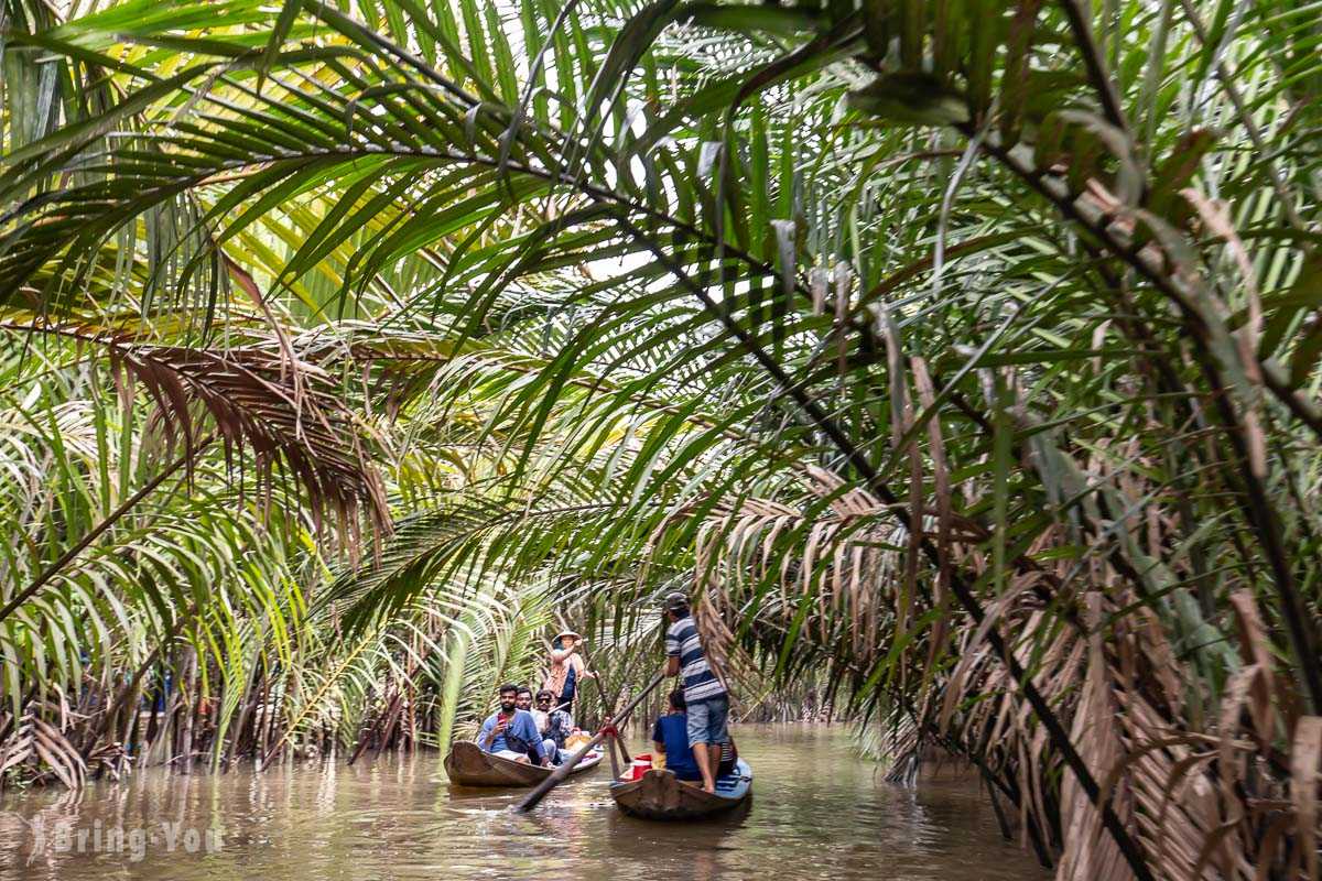 Ho Chi Minh-Mekong Delta Tour from Ho Chi Minh, Hand-cranked Boats, Cruise Ships, Floating Houses