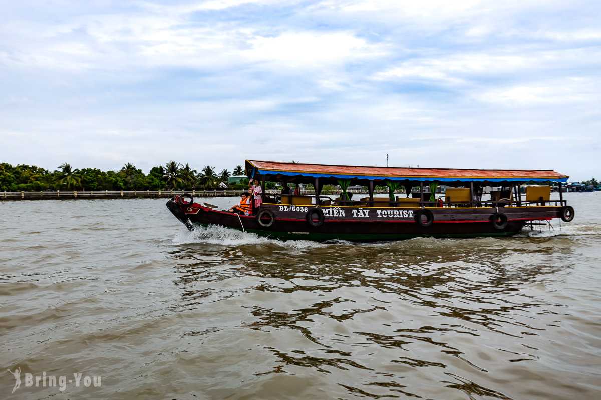 Ho Chi Minh-Mekong Delta Tour from Ho Chi Minh, Hand-cranked Boats, Cruise Ships, Floating Houses