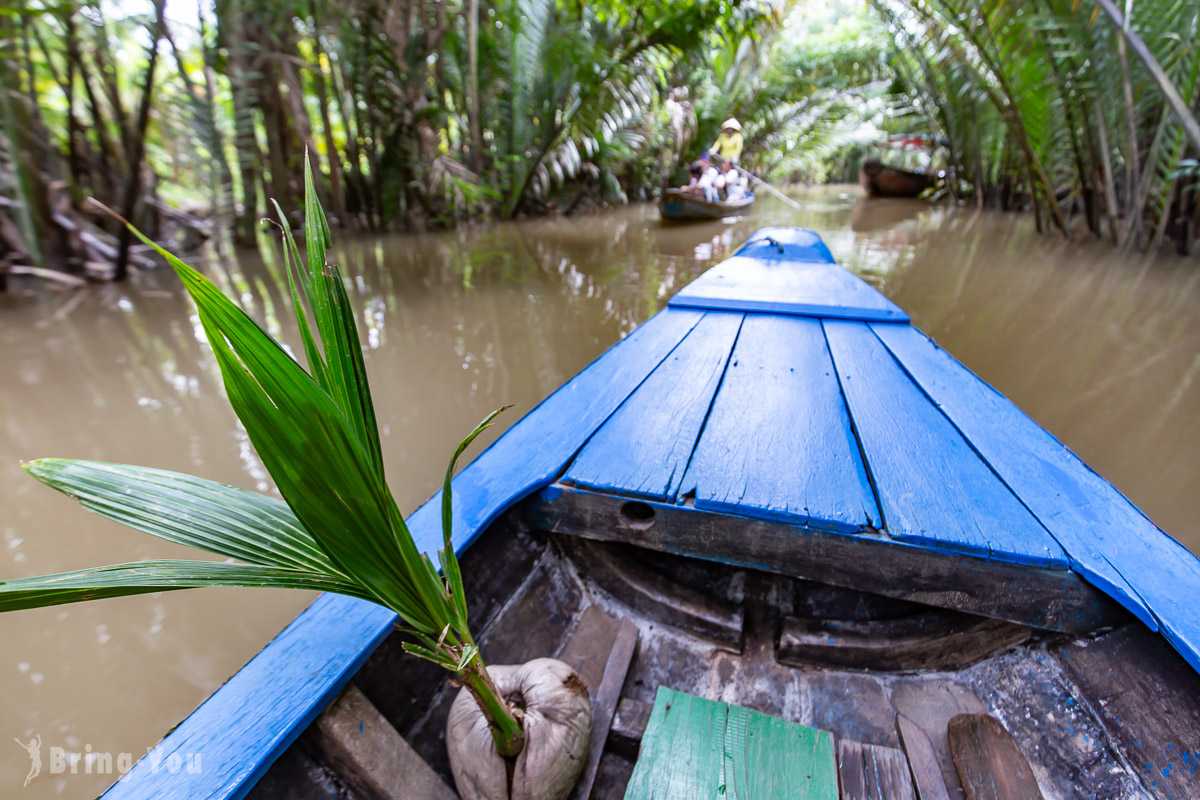 Ho Chi Minh-Mekong Delta Tour from Ho Chi Minh, Hand-cranked Boats, Cruise Ships, Floating Houses