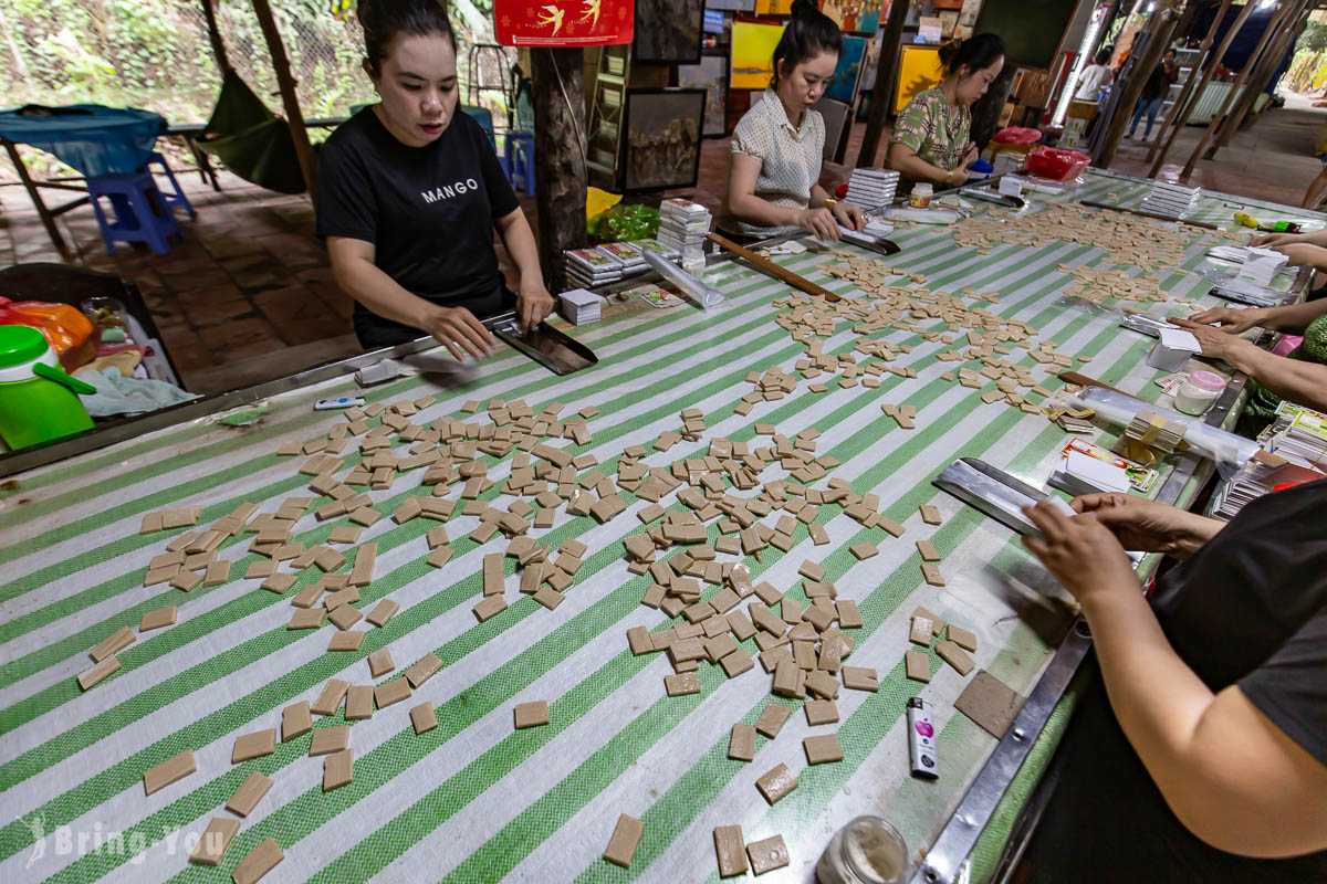 Ho Chi Minh-Mekong Delta Tour from Ho Chi Minh, Hand-cranked Boats, Cruise Ships, Floating Houses