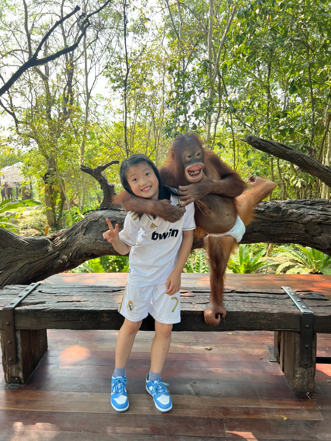 Hua Hin-Hua Hin Safari Park🦌, get up close and personal with a variety of local animals