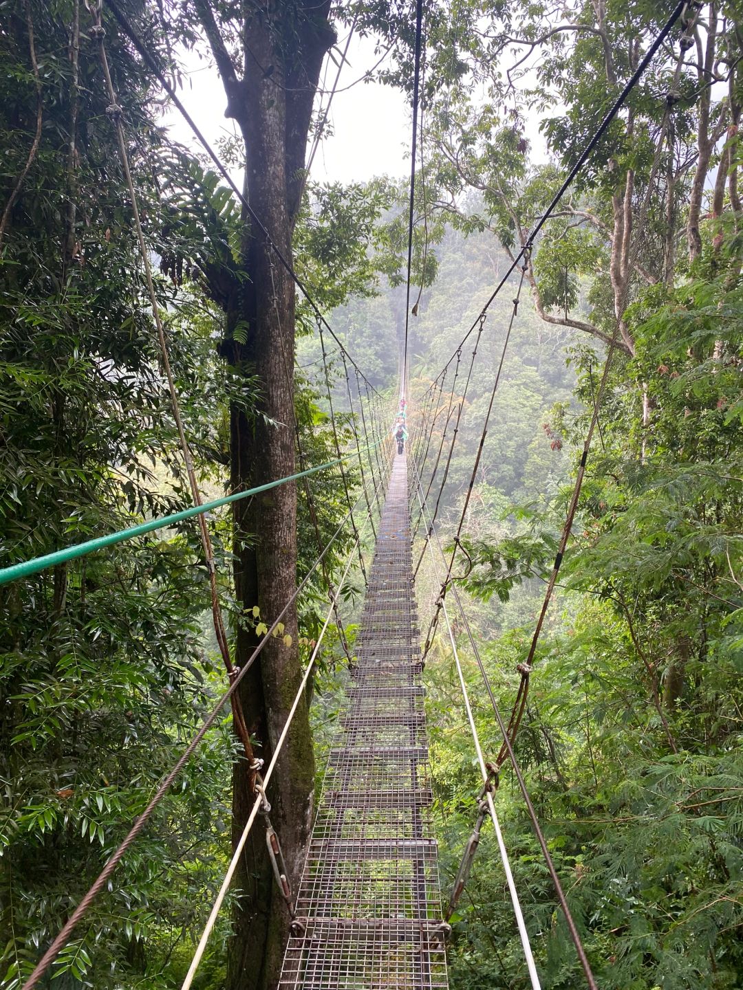 Jakarta-Suspension bridge🌳, outdoor hiking in the suburbs of Jakarta, through the rainforest