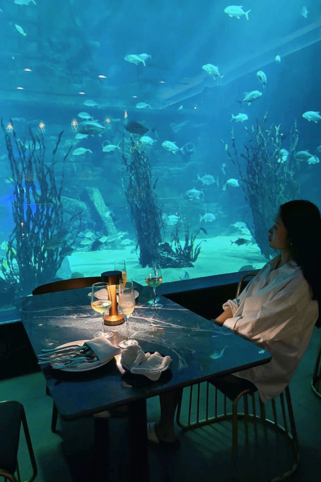 Cebu-Aqua dining adventure, Cebu Aquarium Restaurant, taste delicious food under the sea