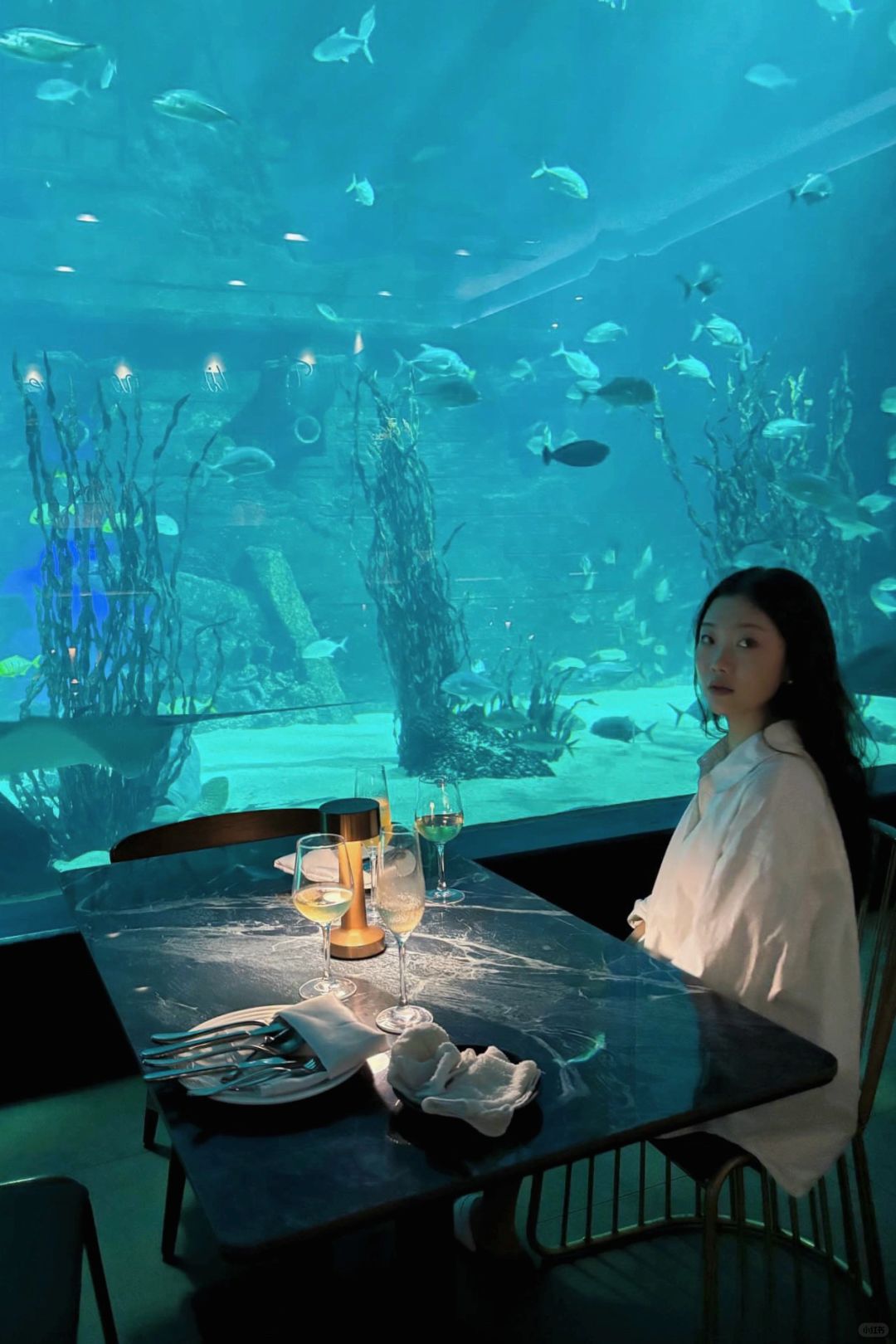 Cebu-Aqua dining adventure, Cebu Aquarium Restaurant, taste delicious food under the sea