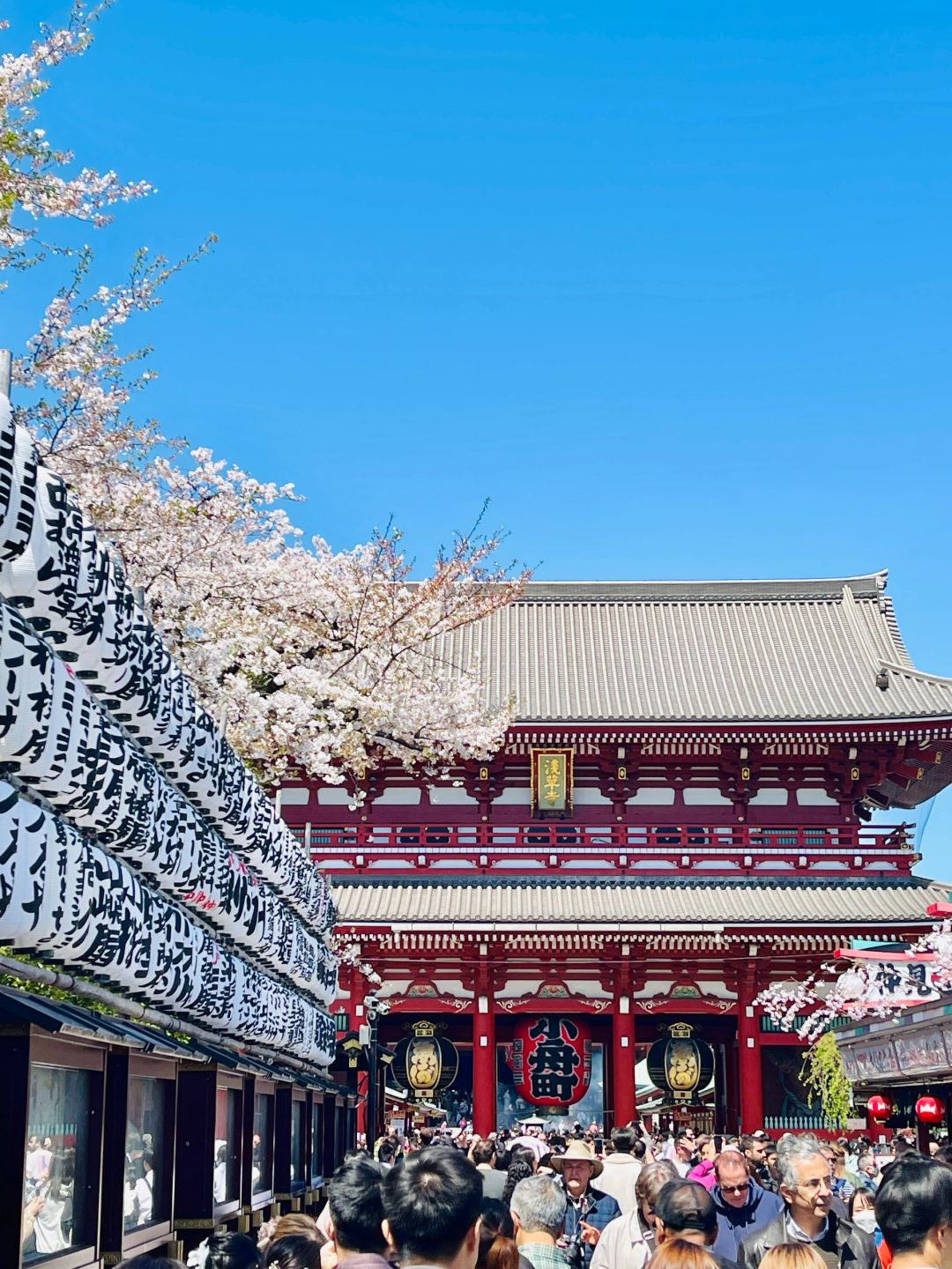 Tokyo-Recommended Tokyo walking tour routes: Sensoji Temple, Tokyo Skytree, Ginza and Shibuya.