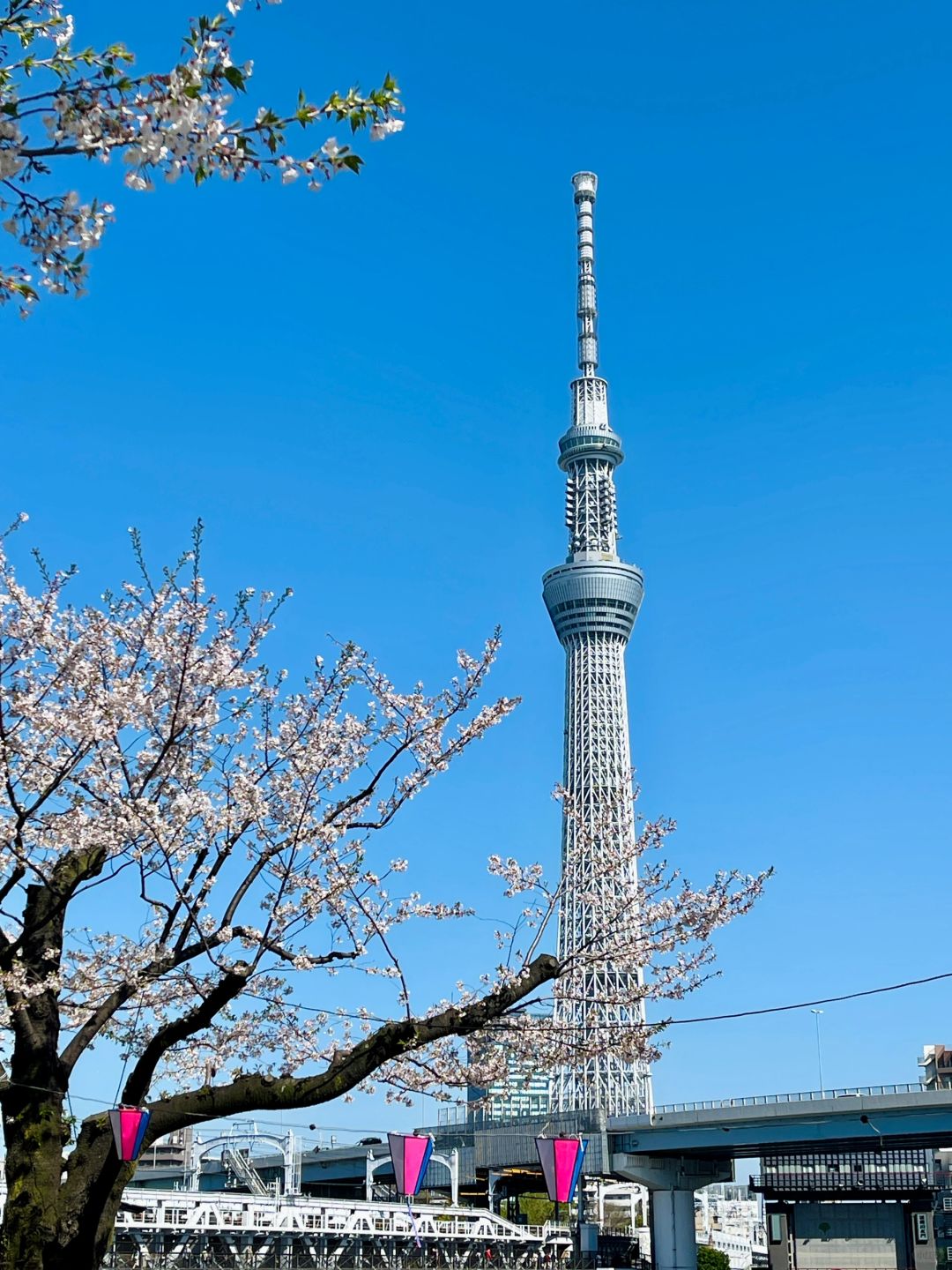 Tokyo-Recommended Tokyo walking tour routes: Sensoji Temple, Tokyo Skytree, Ginza and Shibuya.