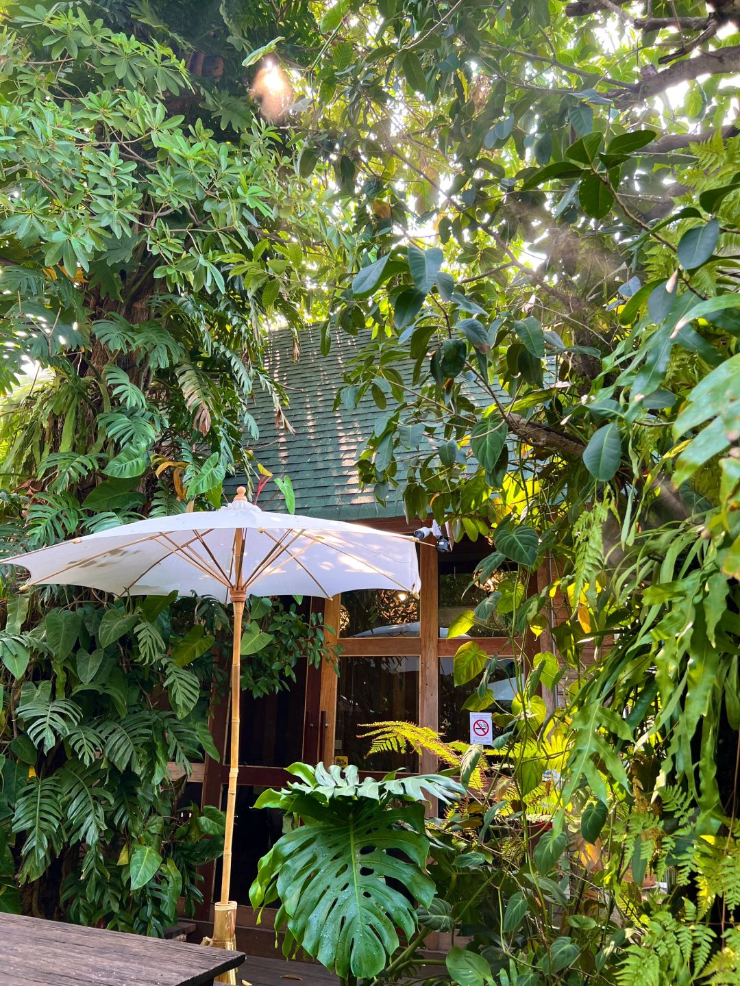 Bangkok-Baan Suan Sathon🌴 Restaurant in Bangkok, a rainforest-style coffee shop