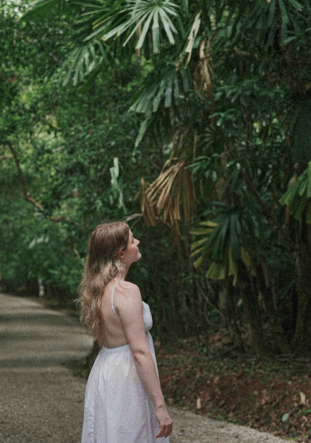 Krabi-Don’t forget to have a coffee break in the rainforest while visiting the Emerald Pool in Krabi