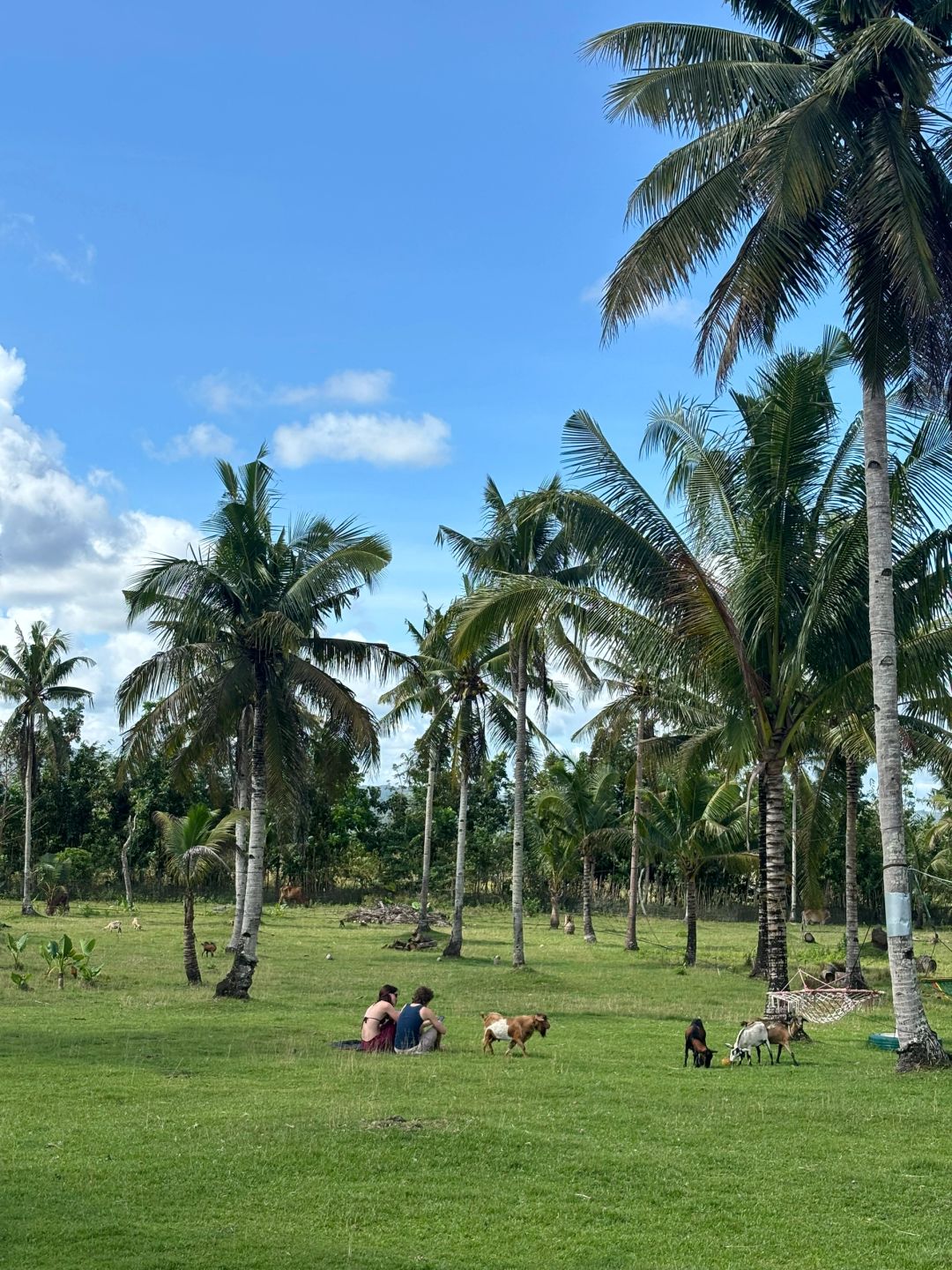 Cebu-Airbnb booked Danao, a private room in a farmhouse, with different delicacies every day