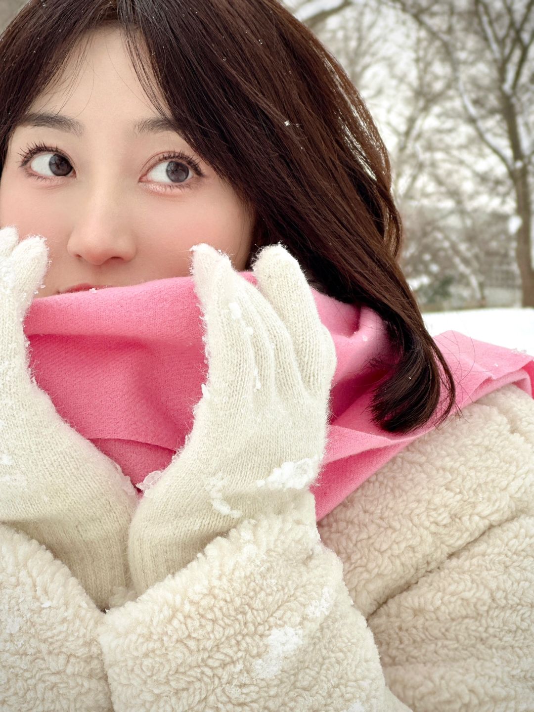 Sapporo/Hokkaido-Beautiful scenery of Hokkaido University❄️, snow-covered branches and flowing streams