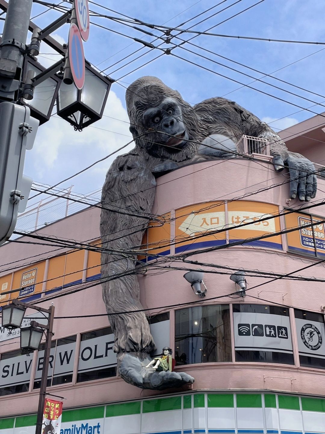 Tokyo-A giant gorilla reaches down from the top of a three-story building at Sangenjaya in Tokyo