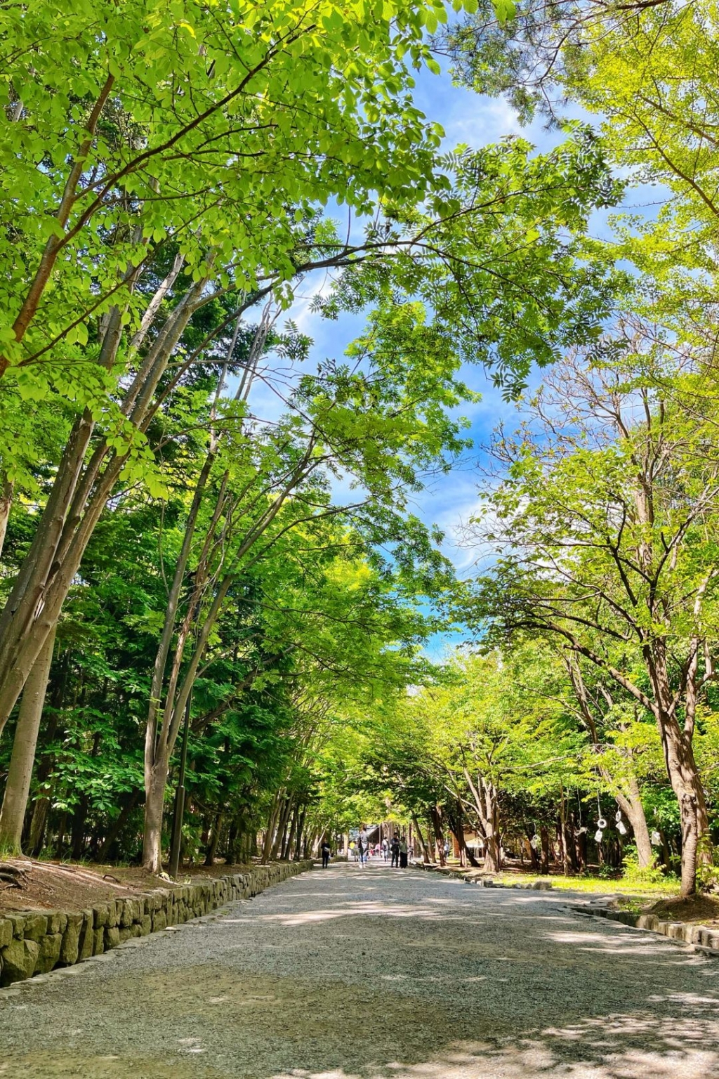 Sapporo/Hokkaido-Hokkaido Jingu Park, built in 1869, is one of the important shrines in Hokkaido