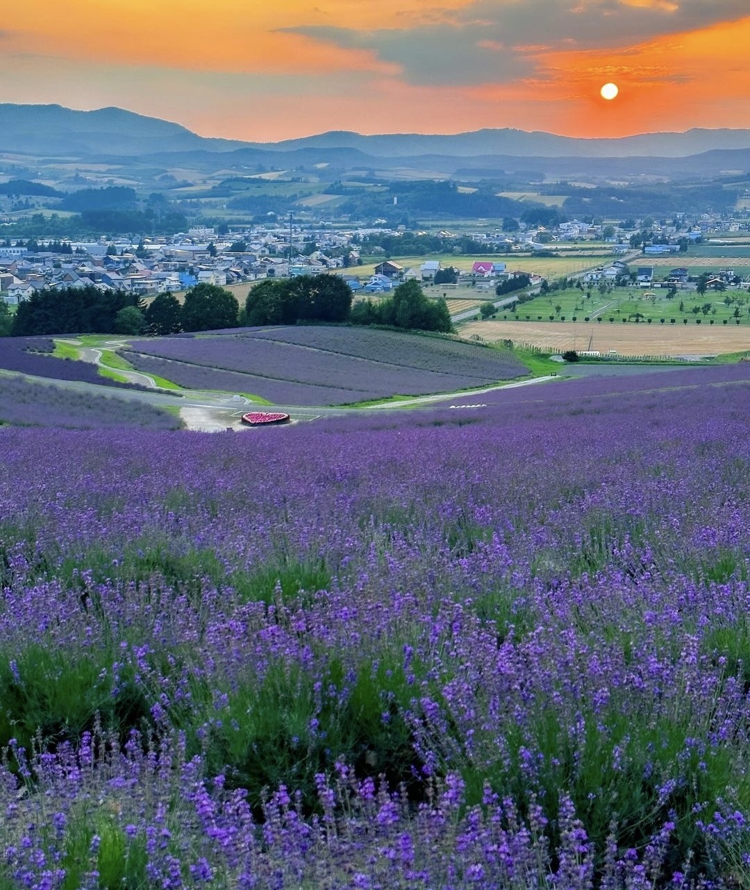 Sapporo/Hokkaido-Hokkaido's summer resort is full of greenery, colorful flowers, and beautiful sea views.