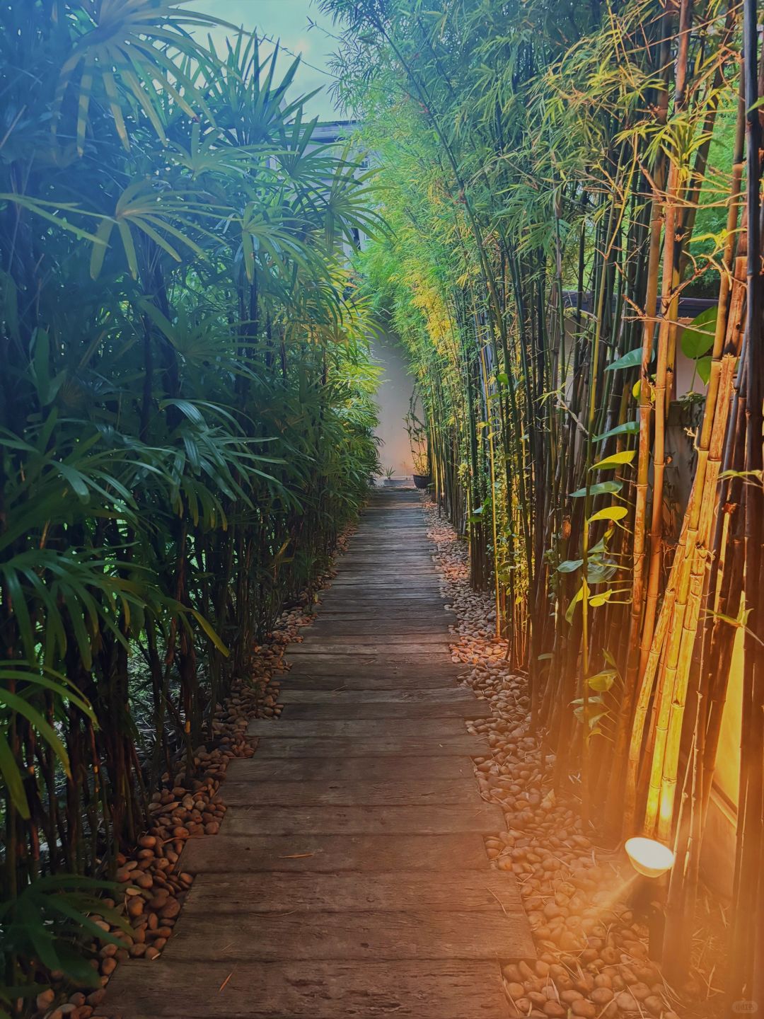 Bangkok-Divana, Bangkok's No. 1 SPA massage shop, with a desert oasis-style decoration