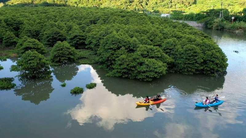 Okinawa-Okinawa Natural Monument Oura Mangrove Kayak Experience with Drone Service