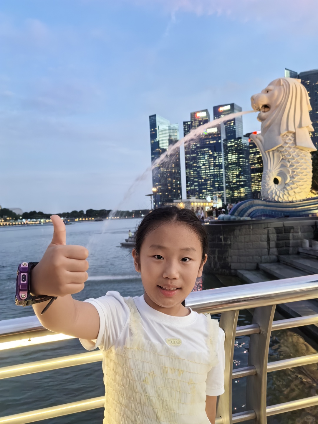 Singapore-Three things you must do when traveling to Singapore, Merlion/Sands Hotel/Skypark