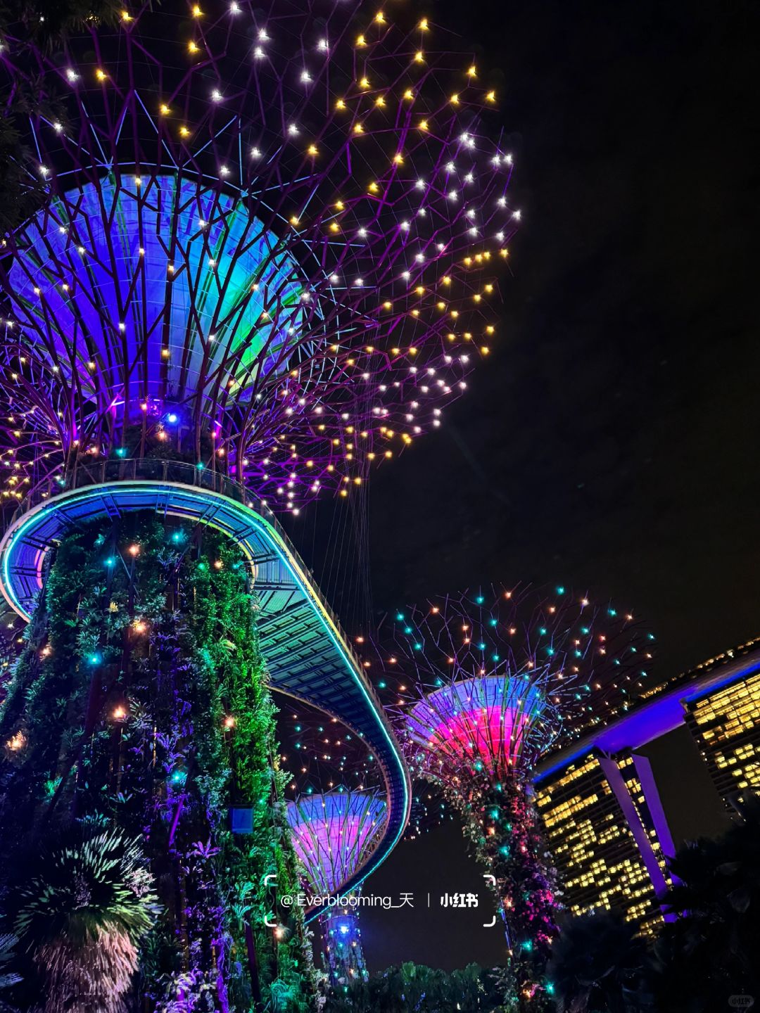 Singapore-Night view of Gardens by the Bay in Singapore, adjacent to the Marina Reservoir