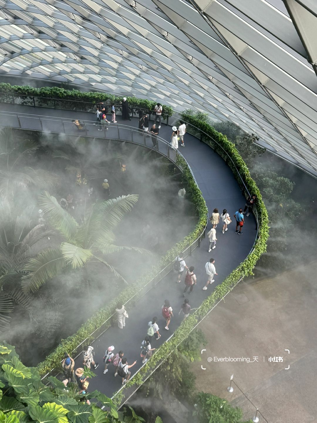 Singapore-Night view of Gardens by the Bay in Singapore, adjacent to the Marina Reservoir