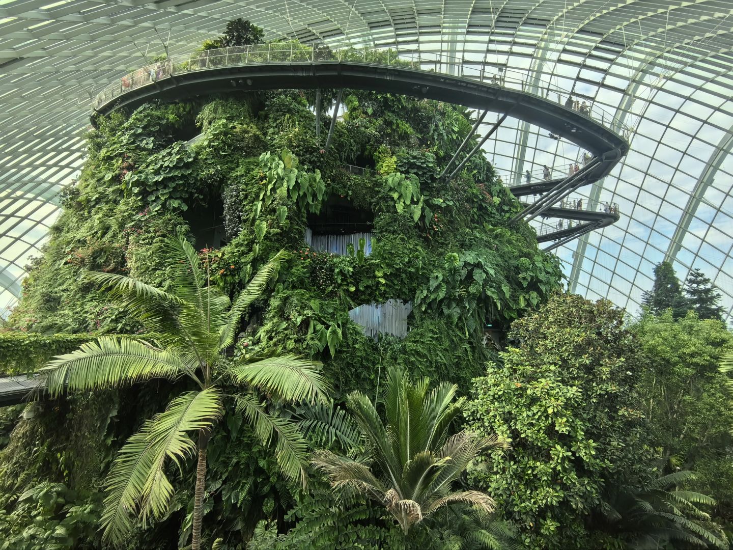 Singapore-Singapore Gardens by the Bay photo collection🌿, an oasis in the city, a dream garden