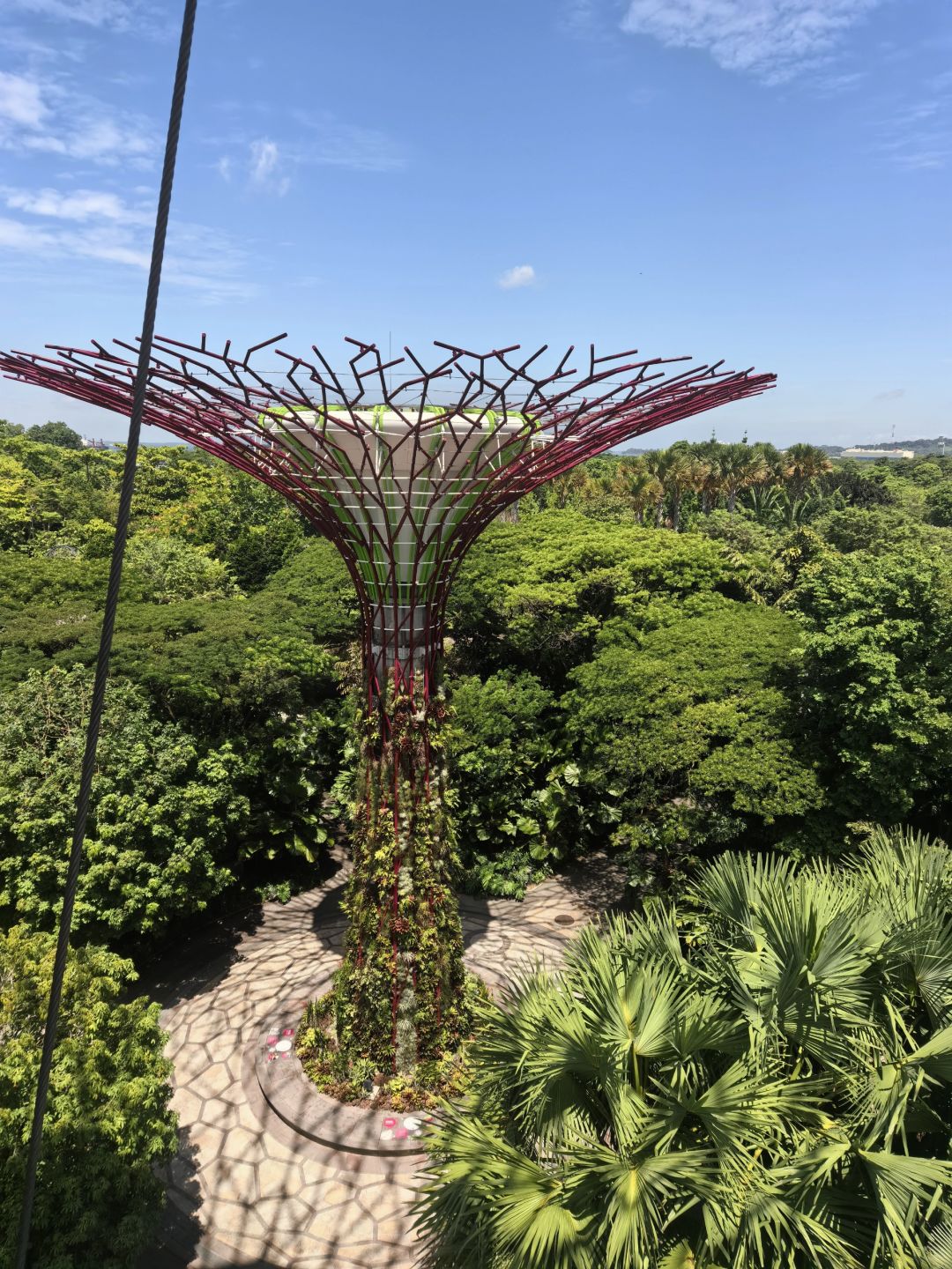 Singapore-Singapore Gardens by the Bay photo collection🌿, an oasis in the city, a dream garden