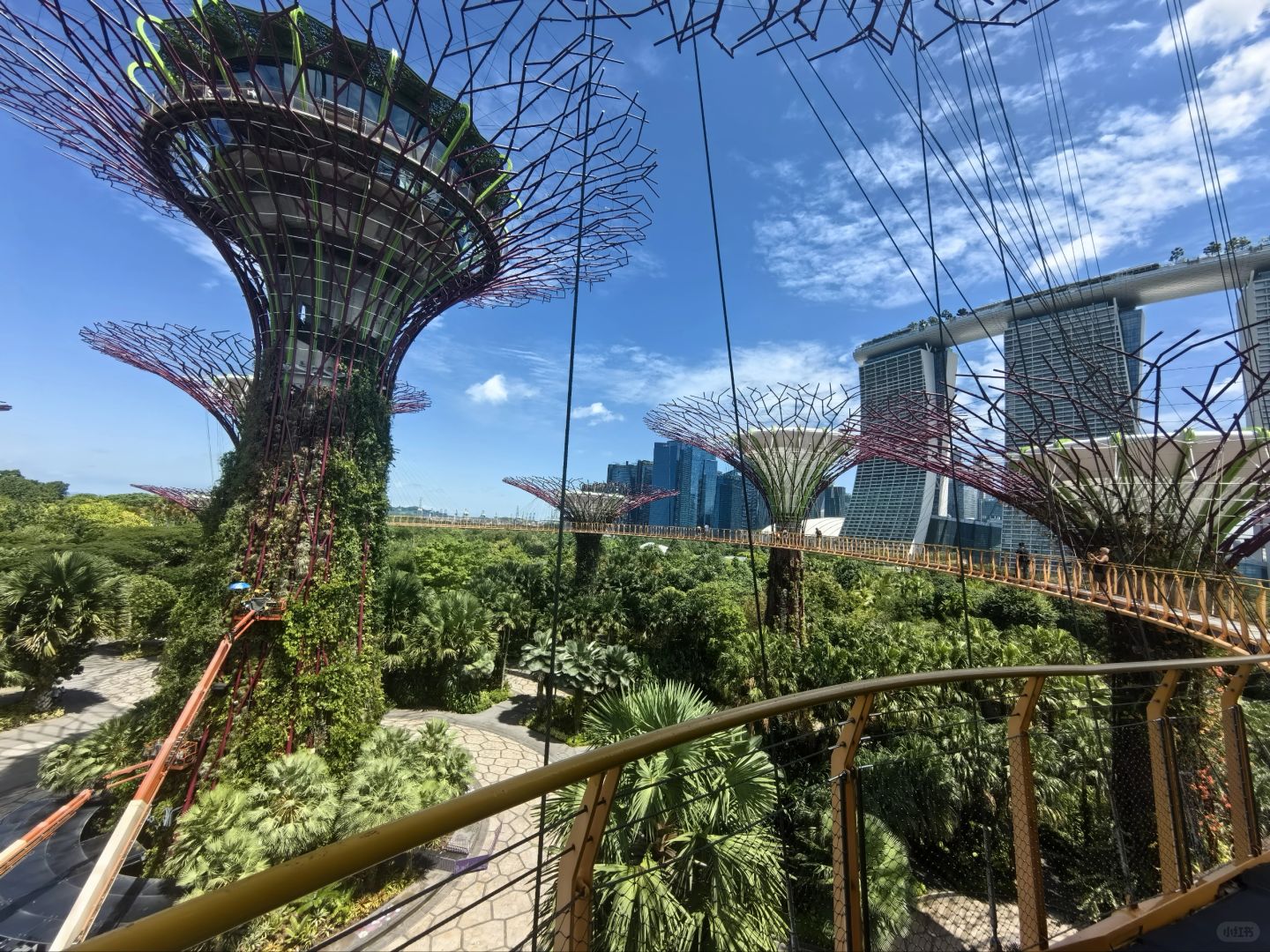 Singapore-Singapore Gardens by the Bay photo collection🌿, an oasis in the city, a dream garden