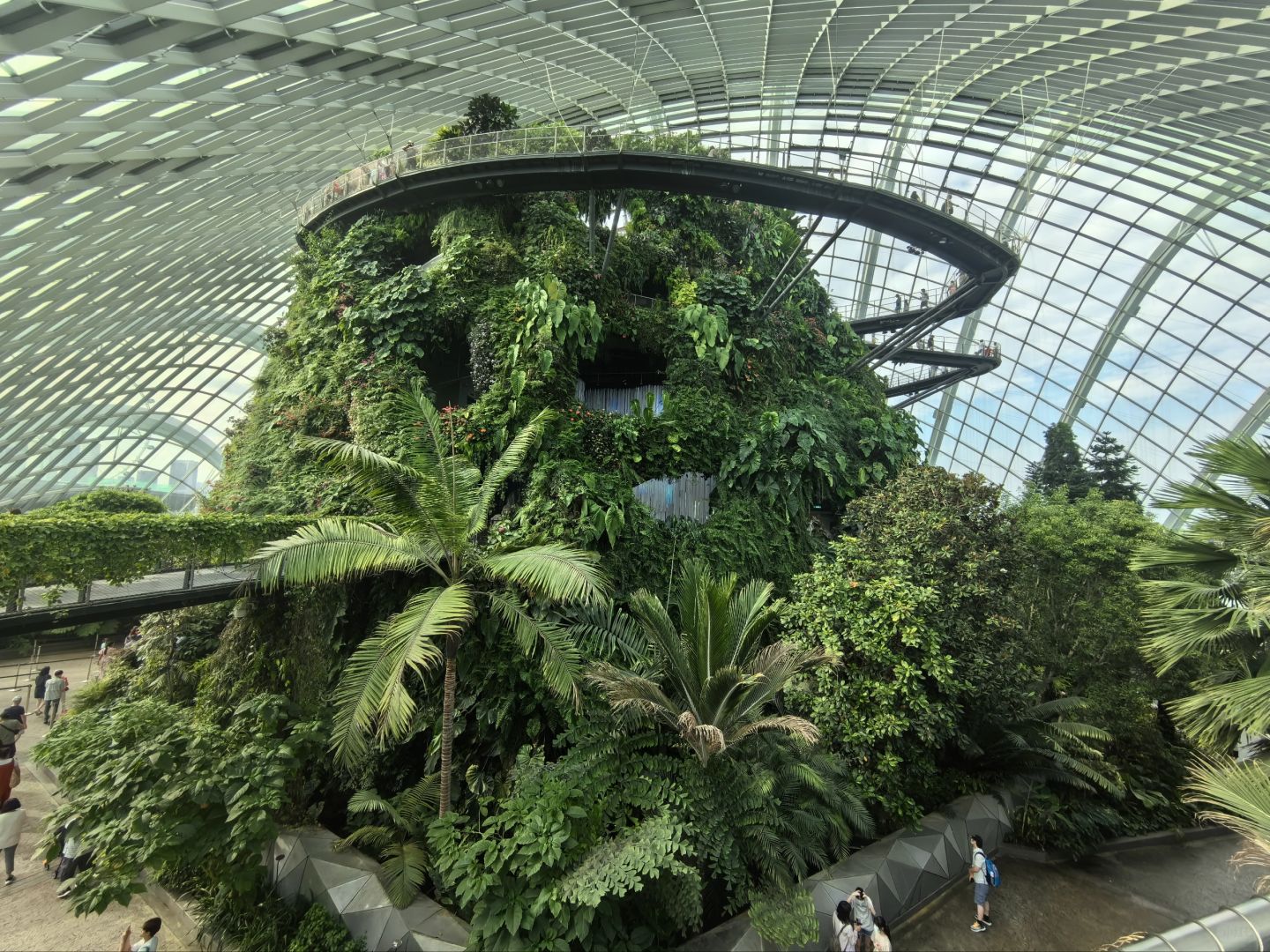 Singapore-Singapore Gardens by the Bay photo collection🌿, an oasis in the city, a dream garden