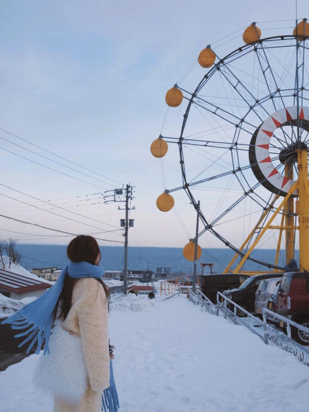 Sapporo/Hokkaido-Fairytale Hokkaido travel, thick snow, colorful cottages, long coastline and retro trams