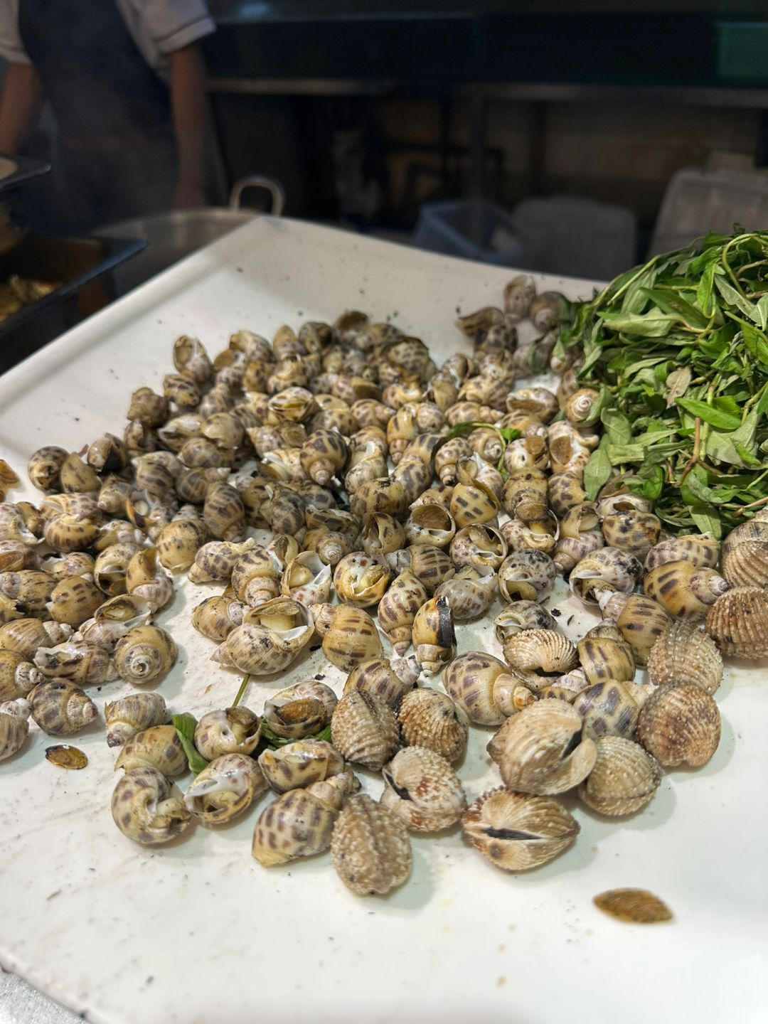 Hanoi-Buffet Poseidon My binh😊, eat fresh abalone at a seafood restaurant in Hanoi