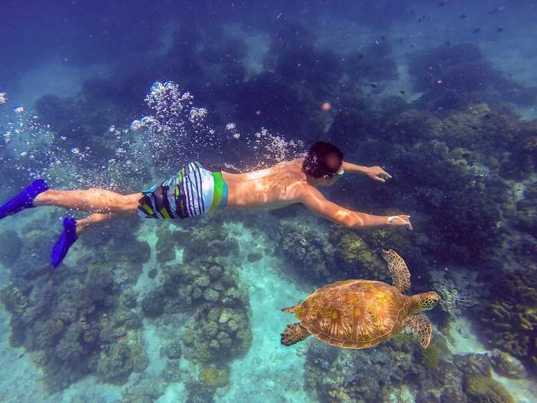 Cebu-15 of the best beaches in the Philippines, explore colorful island coral gardens