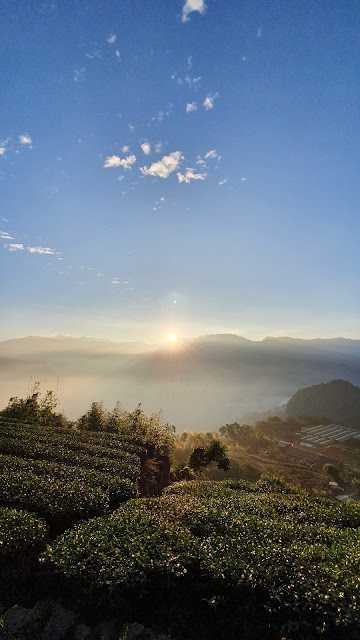 Taiwan-Seeking-Alishan Sunrise, a B&B on Alishan Mountain in Chiayi, enjoying the sunrise and sea of ​​clouds