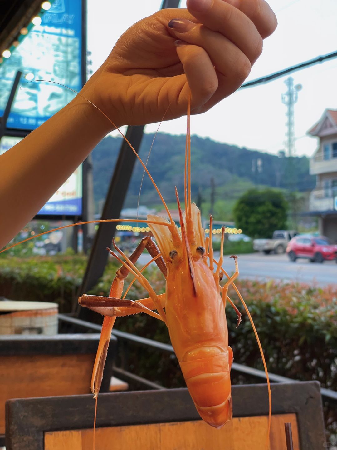 Krabi-TongTalay Seafood Buffet, the best seafood restaurant in Ao Nang Beach, Krabi