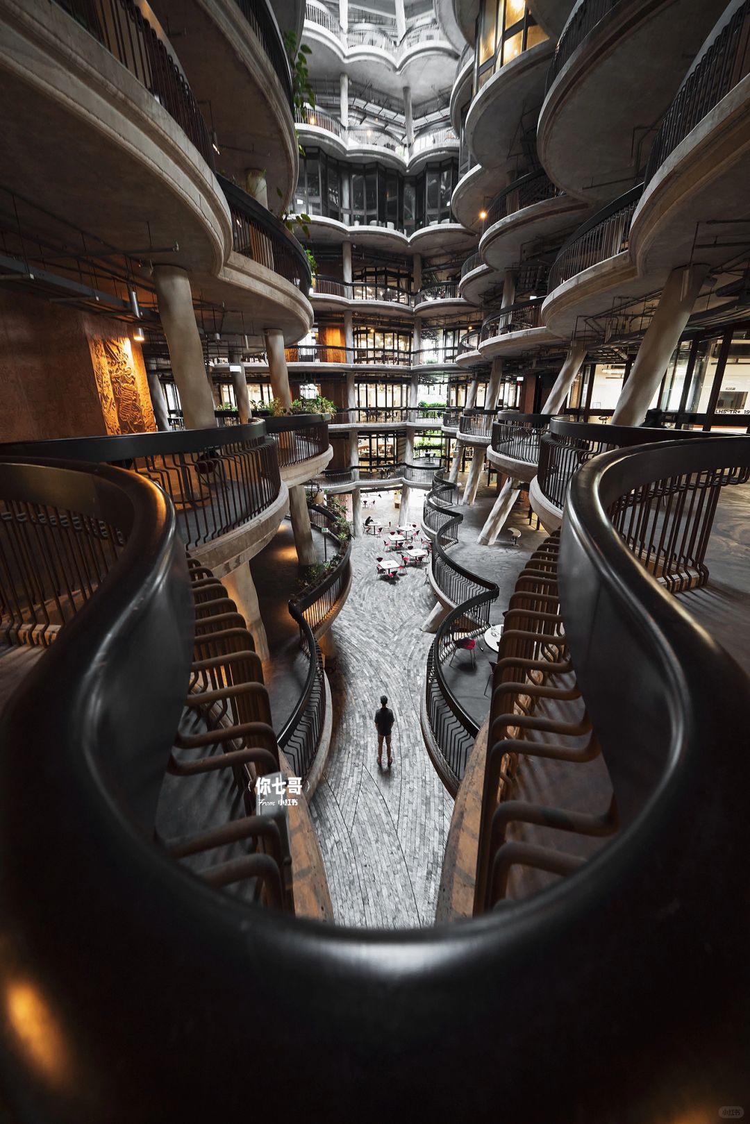 Singapore-Browsing The Hive🐝 on the campus of Nanyang Technological University, Singapore