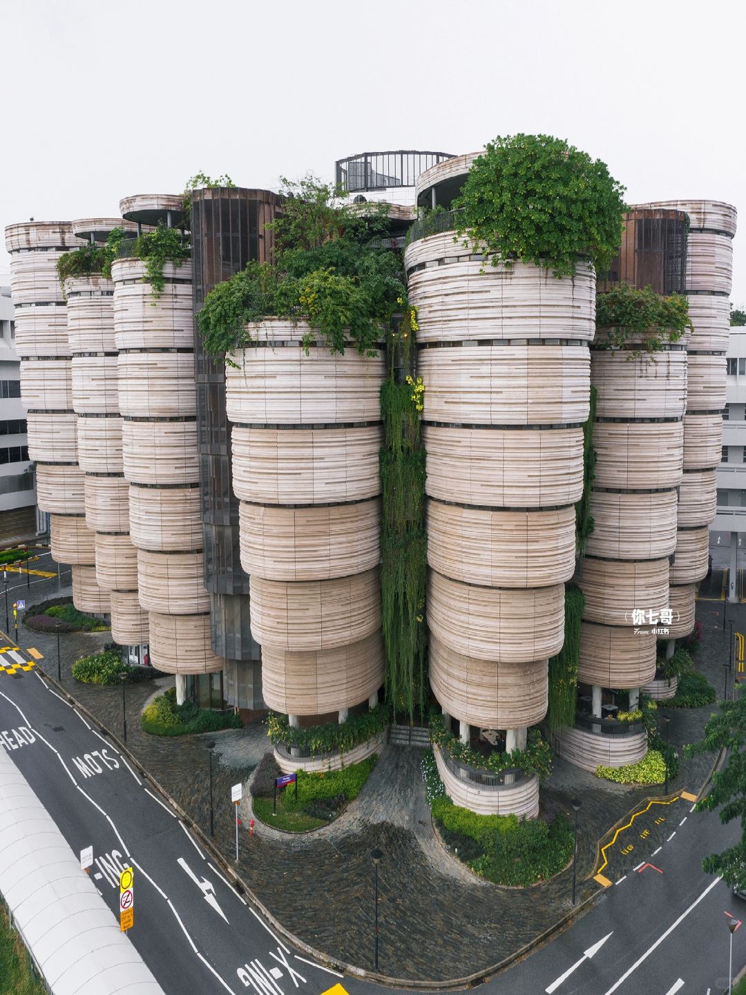 Singapore-Browsing The Hive🐝 on the campus of Nanyang Technological University, Singapore