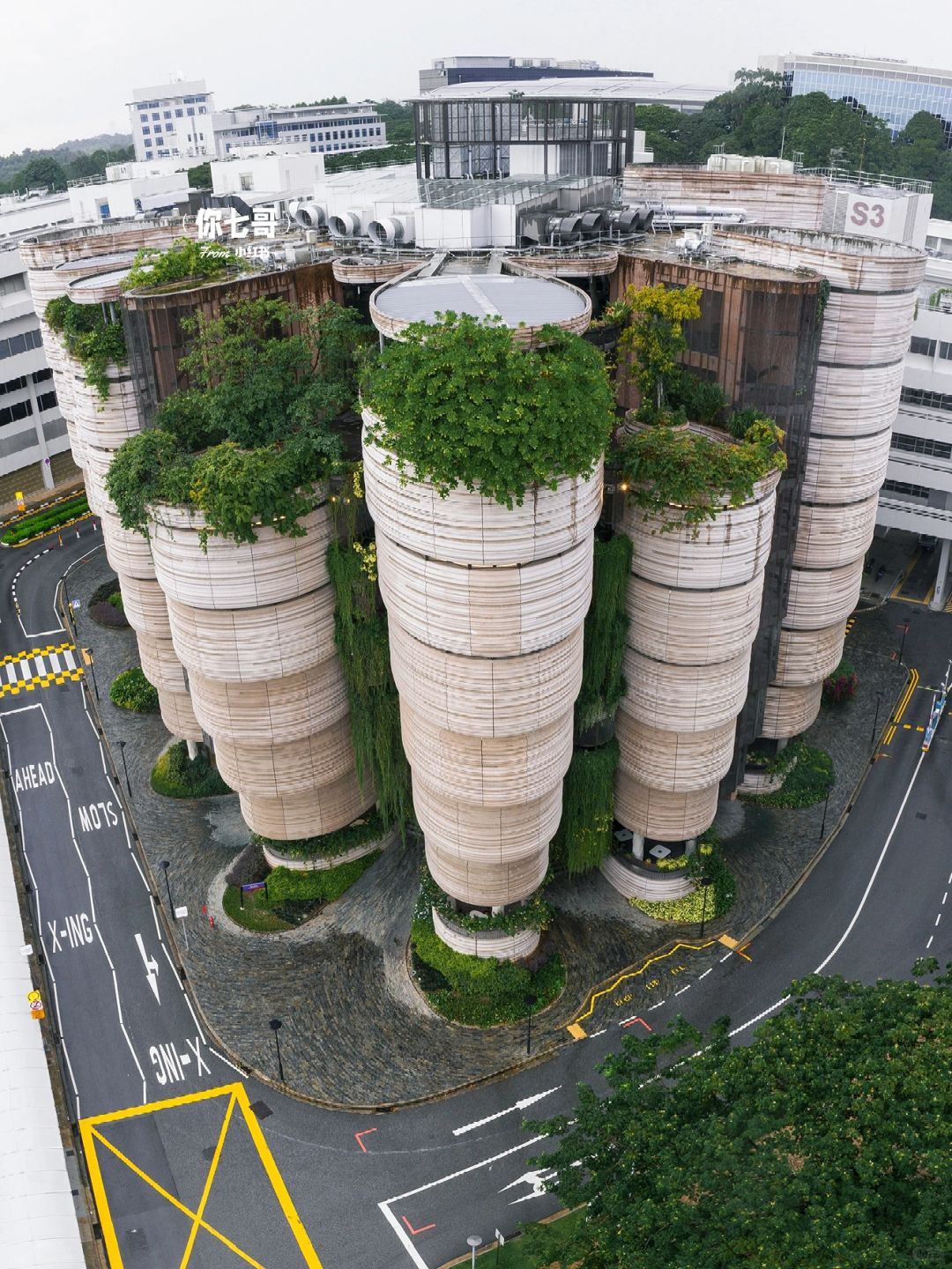 Singapore-Browsing The Hive🐝 on the campus of Nanyang Technological University, Singapore