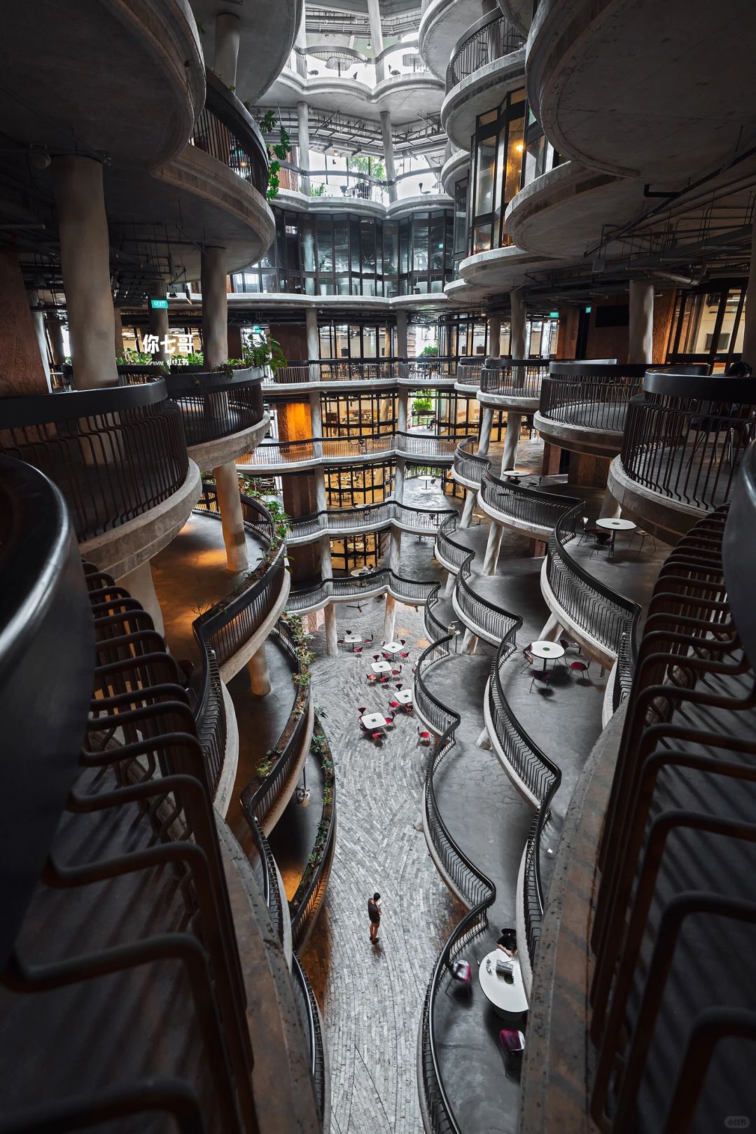 Singapore-Browsing The Hive🐝 on the campus of Nanyang Technological University, Singapore