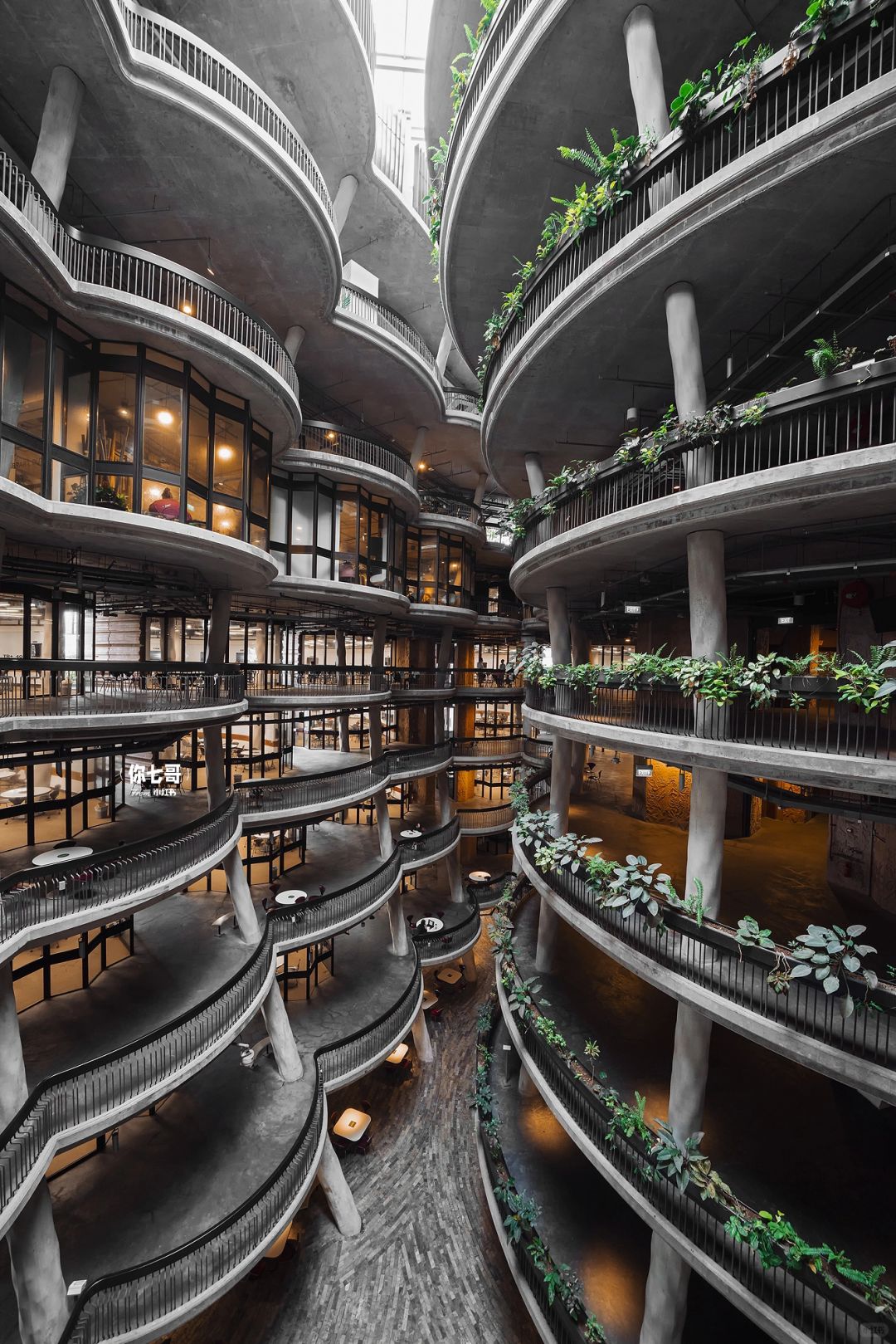 Singapore-Browsing The Hive🐝 on the campus of Nanyang Technological University, Singapore