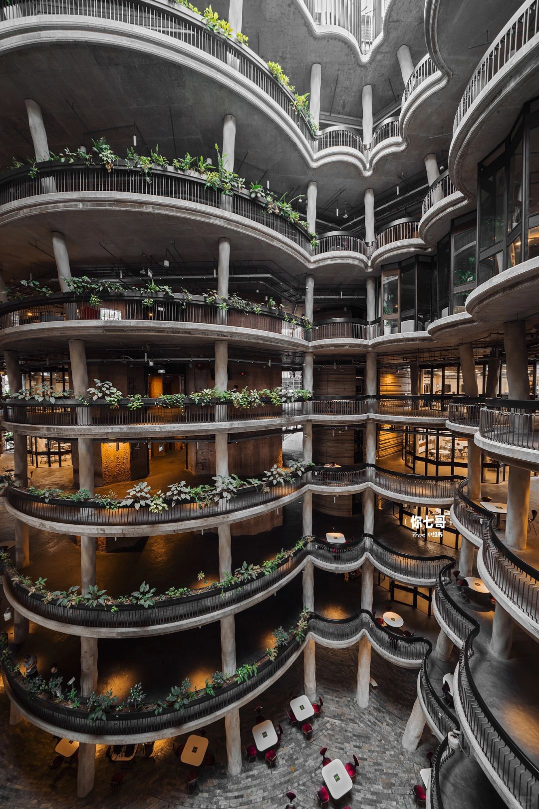 Singapore-Browsing The Hive🐝 on the campus of Nanyang Technological University, Singapore