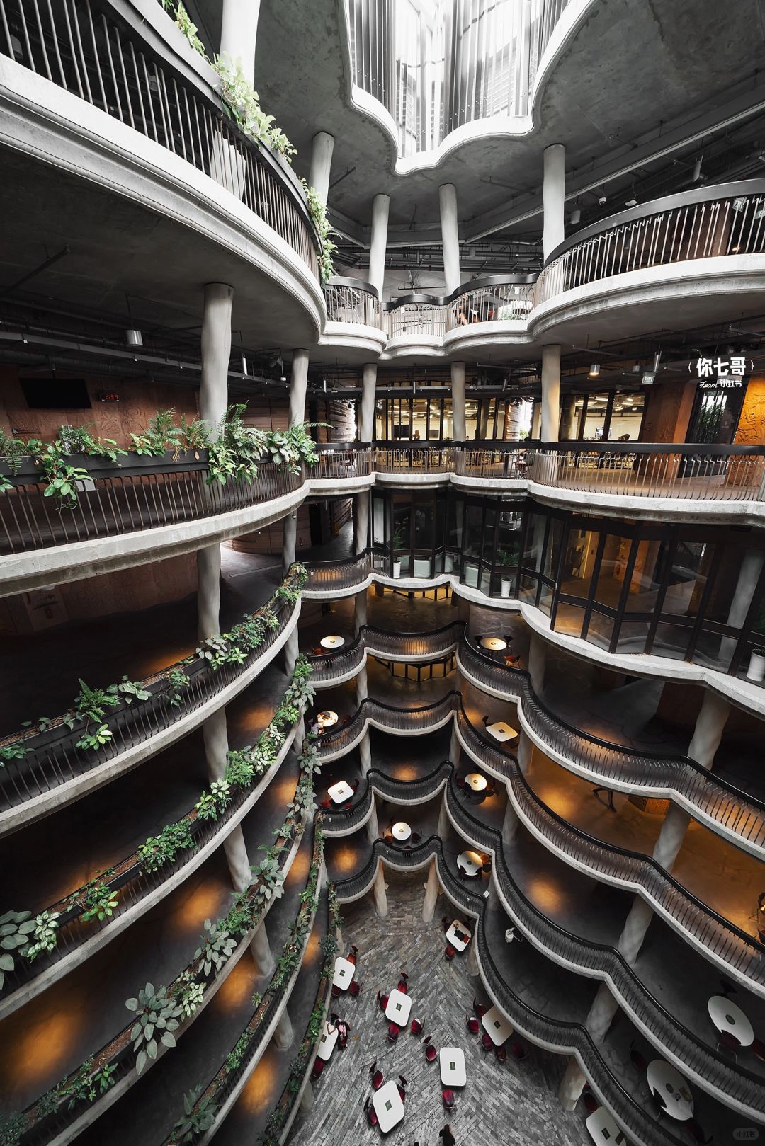 Singapore-Browsing The Hive🐝 on the campus of Nanyang Technological University, Singapore