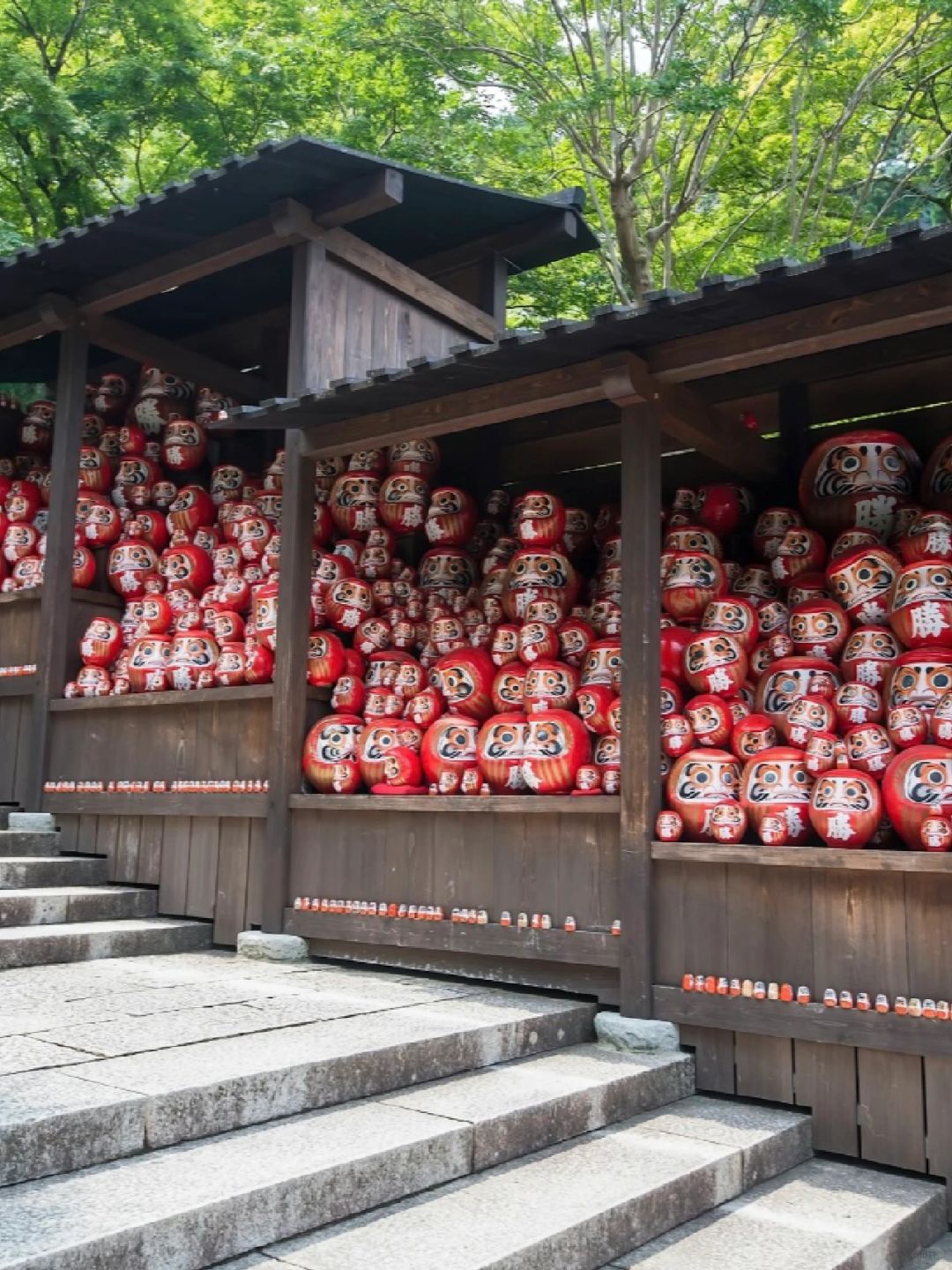 Osaka-Osaka Festival Hall, Conrad, Katsuo-ji Temple, Tsite, Namba Yasaka Shrine, Japan