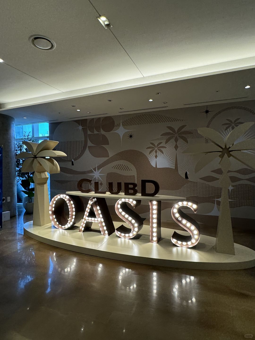 Busan/Jeju-Busan Spaland, Club D Oasis Spa and Hotel Aqua Palace Spa & Sauna Massage Reviews