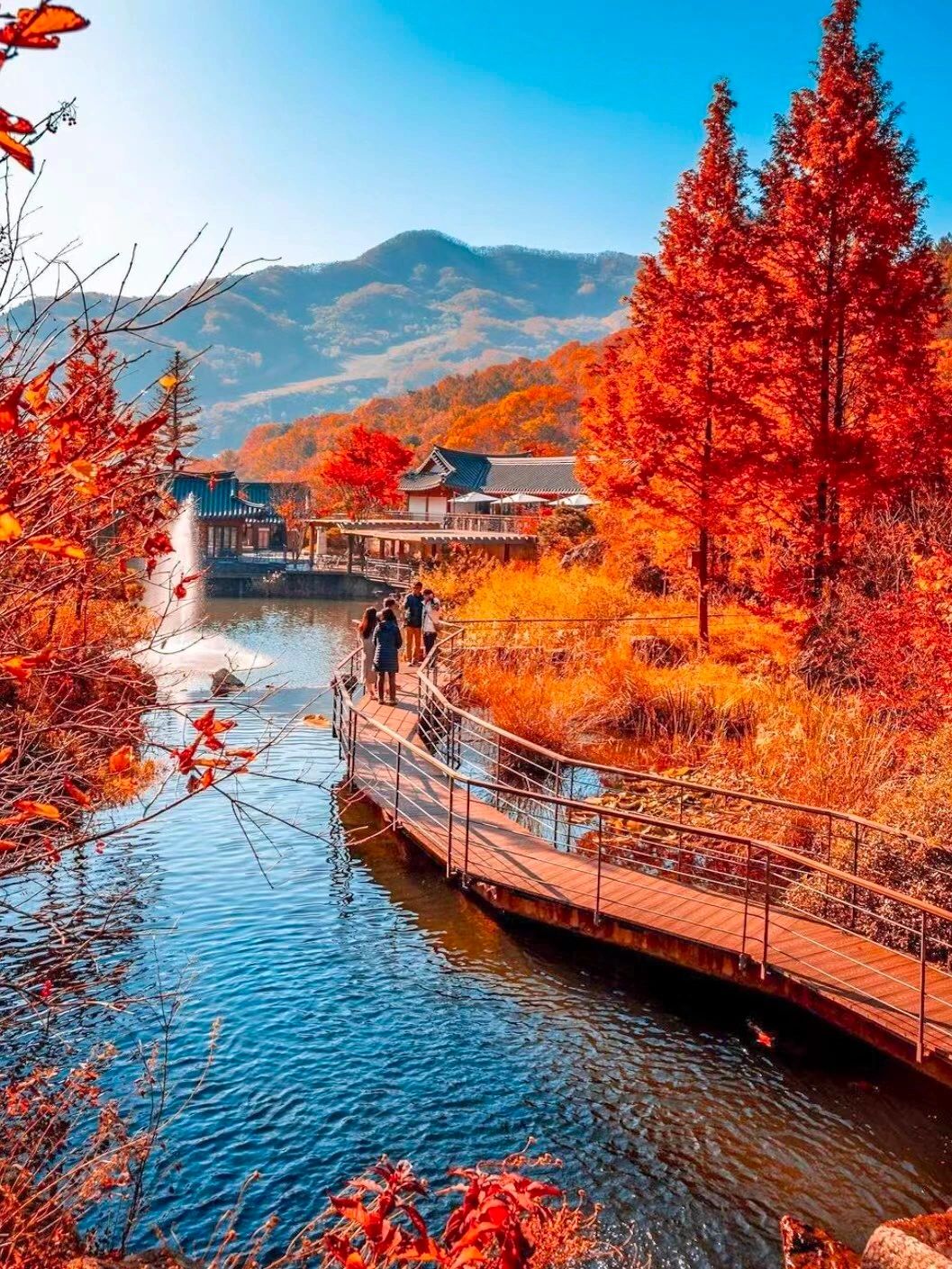 Seoul-Travel to Korea, ?Take the Dream Train to the Flower Forest and enjoy the autumn leaves