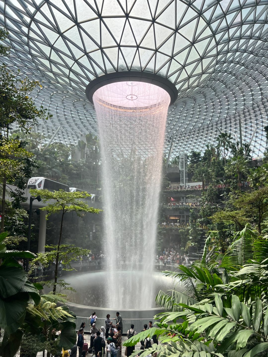 Singapore-18 photos of Singapore travel⛲️, a garden city built of green plants and fresh air