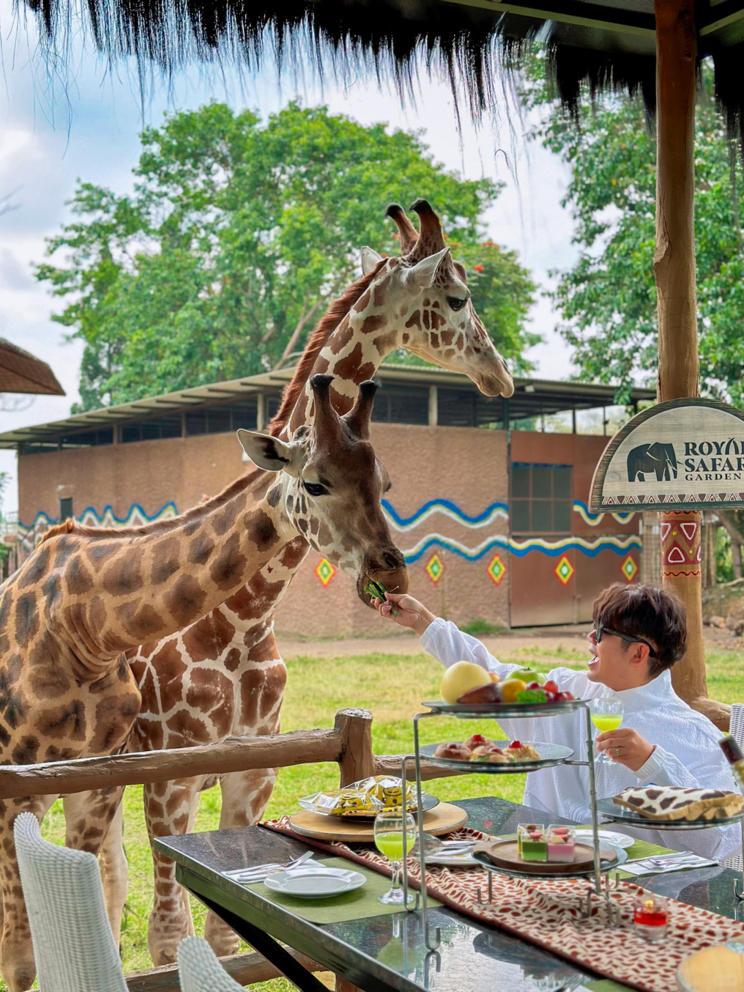 Jakarta-Dine With Giraffe in Jakarta, Indonesia, 👏🏻share a dreamy afternoon tea with giraffes